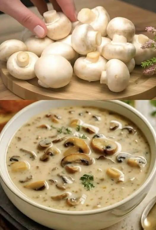 🍄 Kremna gobova juha – preprost recept za bogato in aromatično domačo juho 786242854_122353350266009158_3690050062280460647_n