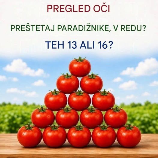 🍅 Vizualni test: Koliko paradižnikov lahko vidite? 787178754_122119697007374286_7608549826449428866_n
