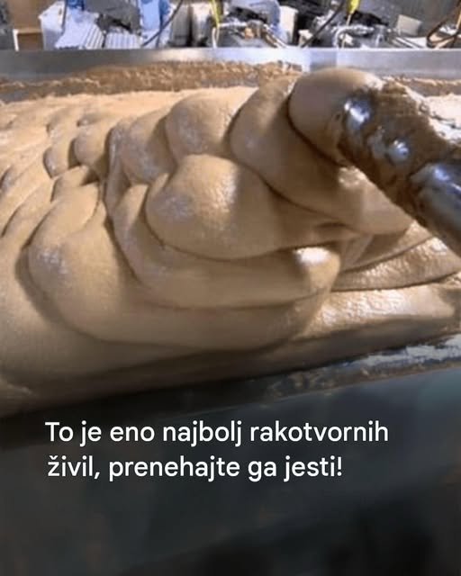 Ta hrana, ki jo uživate vsak teden, ni tako nedolžna, kot se zdi 787483355_122119709223374286_5444401228341062775_n