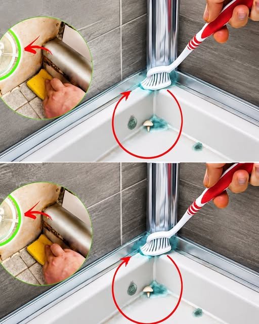 Najhitrejši trik za odstranjevanje plesni iz silikona v tuš kabini 🚿 788414105_2459576707781031_1204922820506642041_n